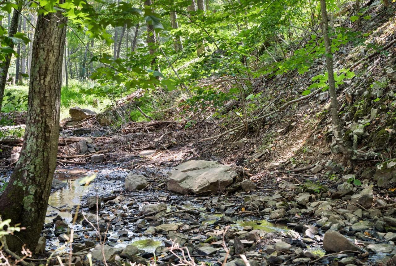 River Access W Hot Tub, Grill, Wifi, & Fire Pit! Lost City Екстер'єр фото